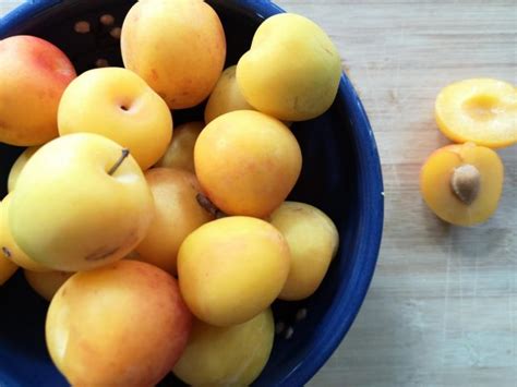 yellow plum porn